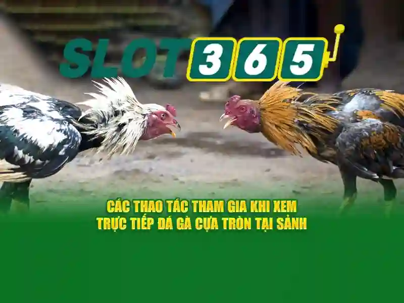 Slot365 - Trải nghiệm chơi slot trực tuyến đầy thú vị