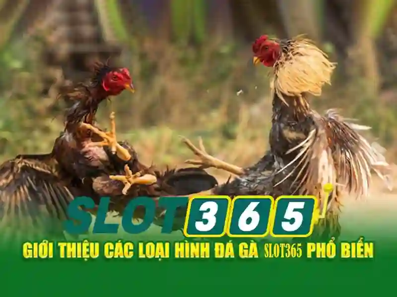 slot365 tảng 200k – Khám phá sức mạnh và trải nghiệm tối ưu