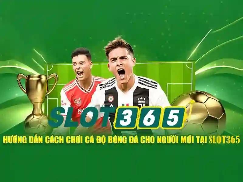 Sản phẩm và dịch vụ chính của slot365 xxvip
