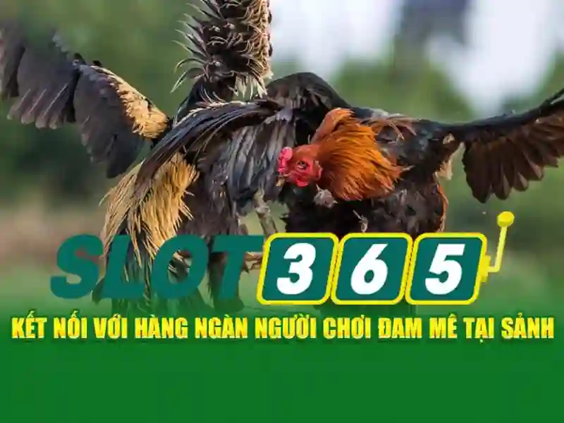 Slot365: Tổng quan và hướng dẫn chơi máy đánh bạc trực tuyến