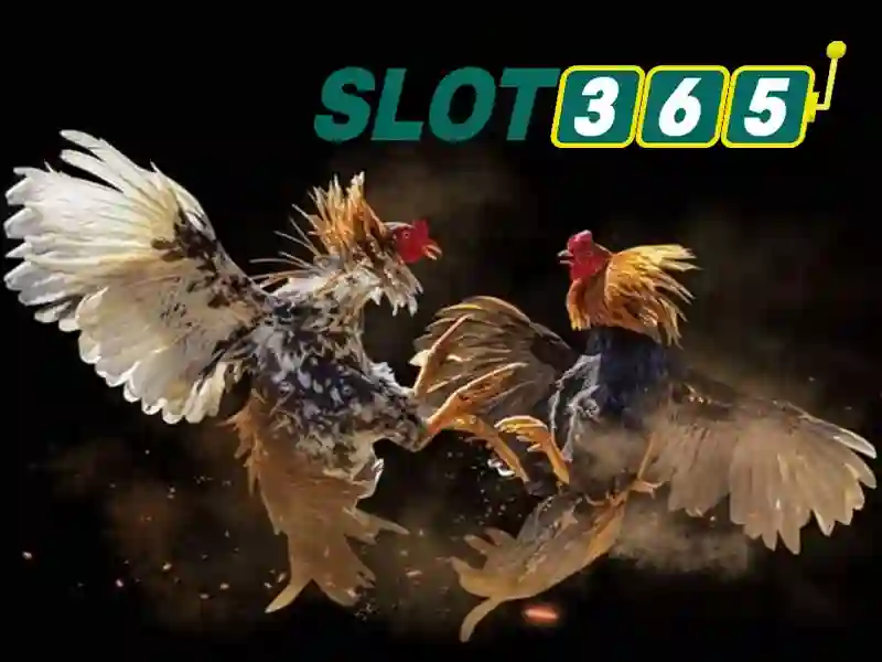 Slot365 - Nền tảng slot trực tuyến hàng đầu