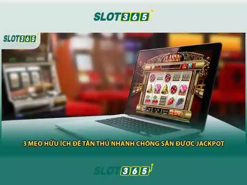 Tại sao chọn Slot365