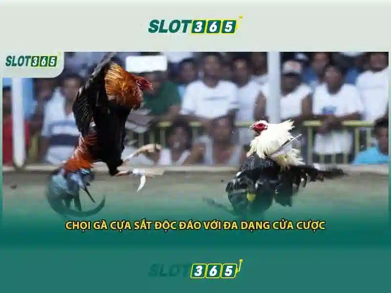 Tại sao chọn Slot365