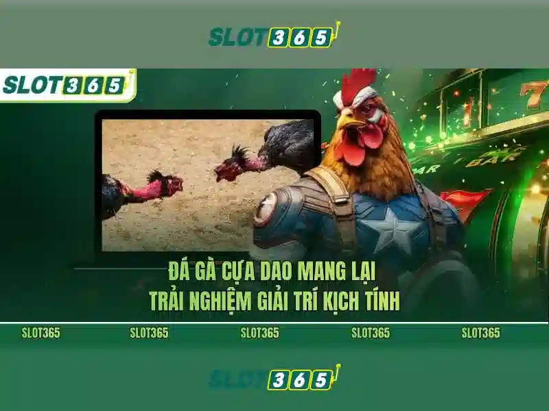 Sản phẩm và dịch vụ trọng tâm: ứng dụng Slot365 free