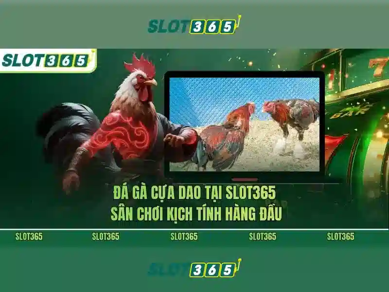 Giới thiệu về Slot365