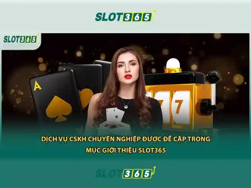 Slot365: Tổng quan về nền tảng trò chơi máy slot