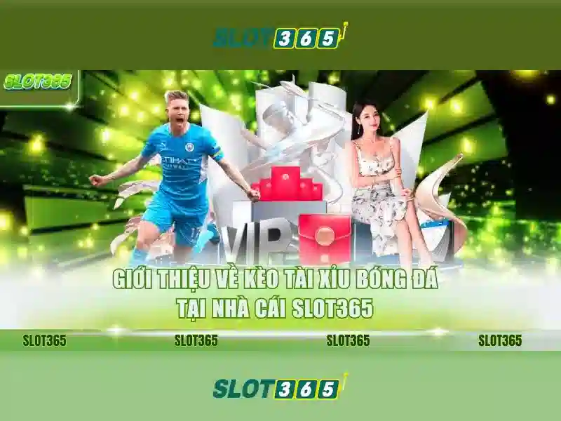 slot365 tại – Khám phá nền tảng cược hiện đại và an toàn