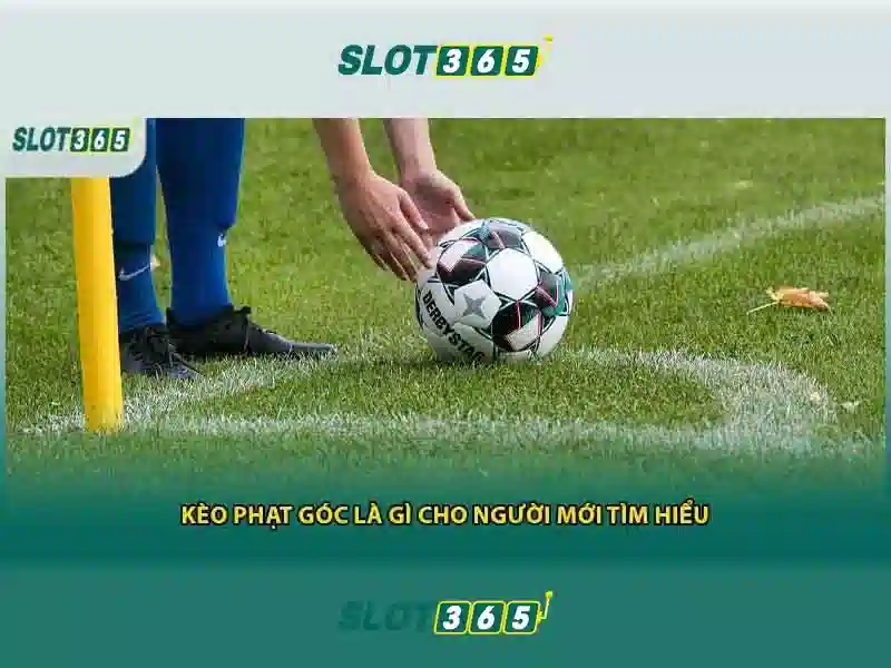 Các sản phẩm và dịch vụ cốt lõi liên quan đến Slot365 ios