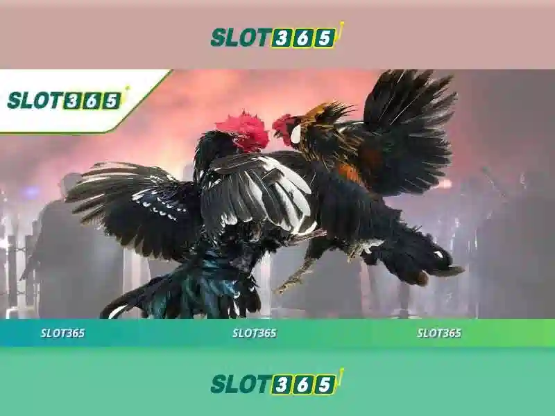 nạp tiền Slot365: Hướng dẫn và trải nghiệm tuyệt vời