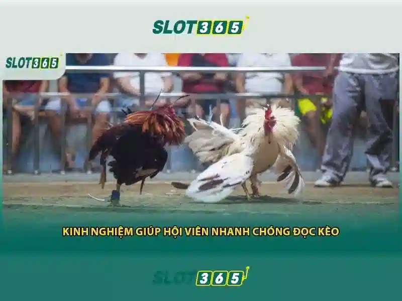 slot365 xx vip – Tổng quan, trải nghiệm và đánh giá