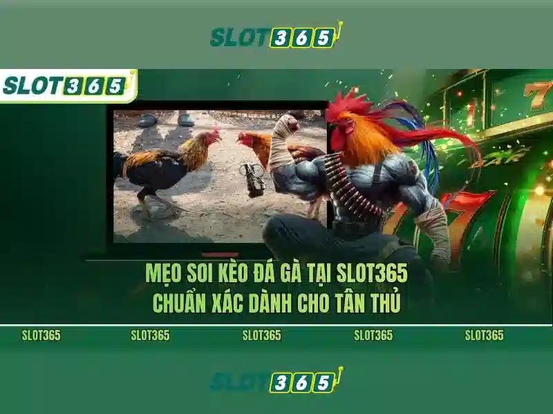 An toàn và thanh toán Slot365