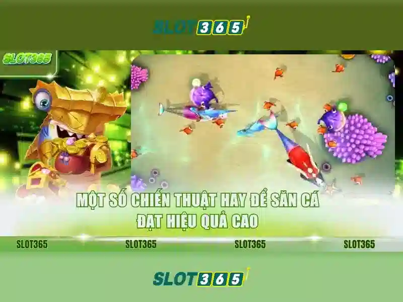 Tại sao chọn Slot365
