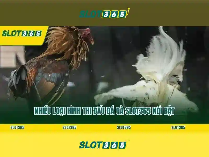 code Slot365 mới nhất – Trải nghiệm và Đăng nhập slot365