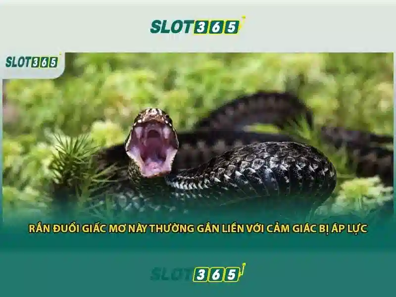 Slot365 - Trải nghiệm slot trực tuyến hàng đầu tại Việt Nam
