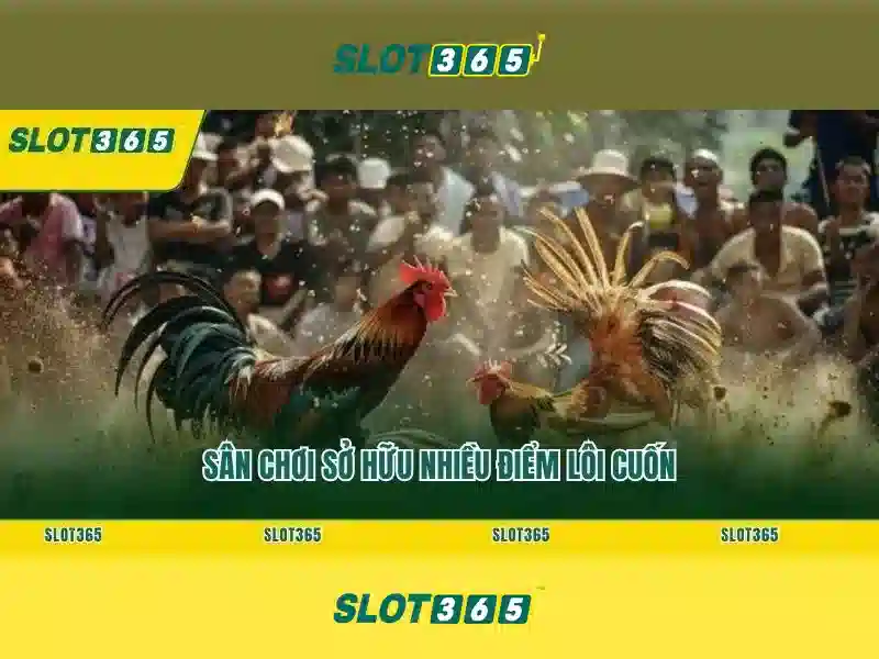 Phản hồi người dùng slot365 vip