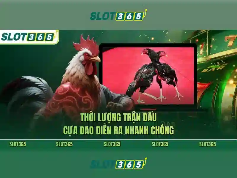 Slot365: Tổng quan về nền tảng slot trực tuyến uy tín