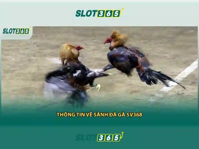 Nguồn gốc và sứ mệnh của slot365 tại