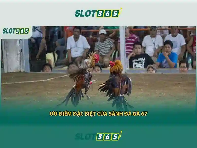 Slot365 là nền tảng xèng trực tuyến nổi bật