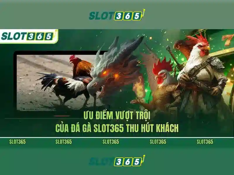 Lợi ích khi tham gia Slot365\n<li style=