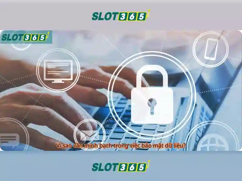 Slot365: Trải nghiệm chơi slot trực tuyến đỉnh cao