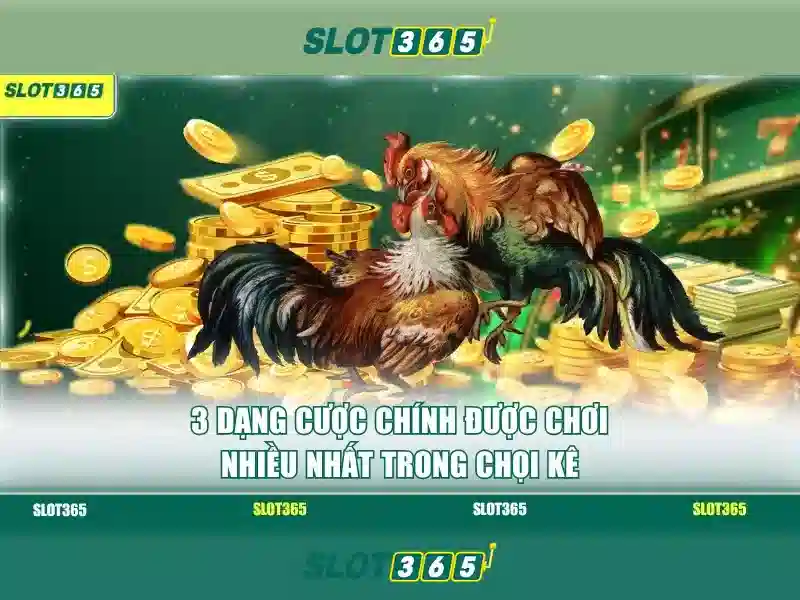 Slot365: Nền tảng giải trí casino trực tuyến uy tín