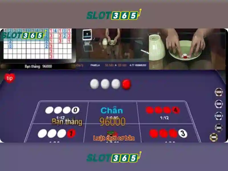 Hướng dẫn chơi