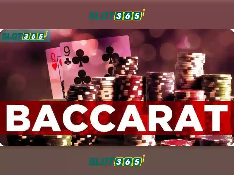 Slot365 – Tổng quan về nền tảng trò chơi xèng