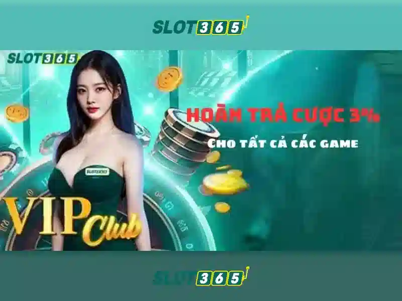 An toàn thanh toán và hỗ trợ khách hàng