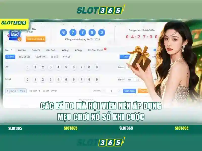 Slot365: Tổng quan và trải nghiệm trò chơi đánh bạc trực tuyến