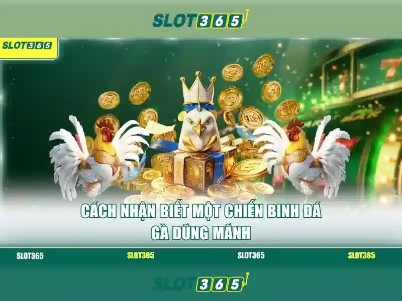 Slot365: Tổng quan về slot trực tuyến, trò chơi và trải nghiệm người chơi