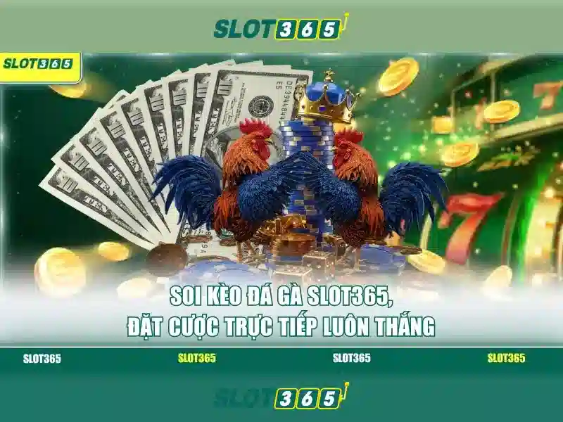 Slot365 là gì và tại sao nó được nhiều người yêu thích