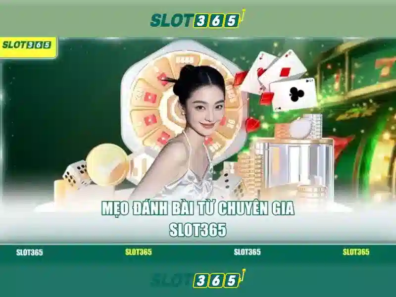 Slot365 là gì và tại sao nên lựa chọn - nền tảng chơi slot trực tuyến