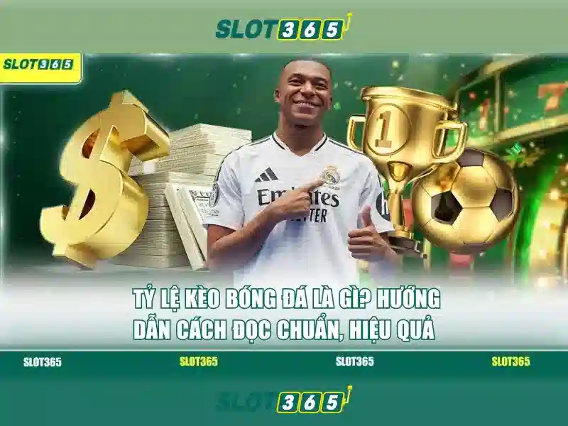 Slot365: Tổng quan về nền tảng trò chơi máy slot