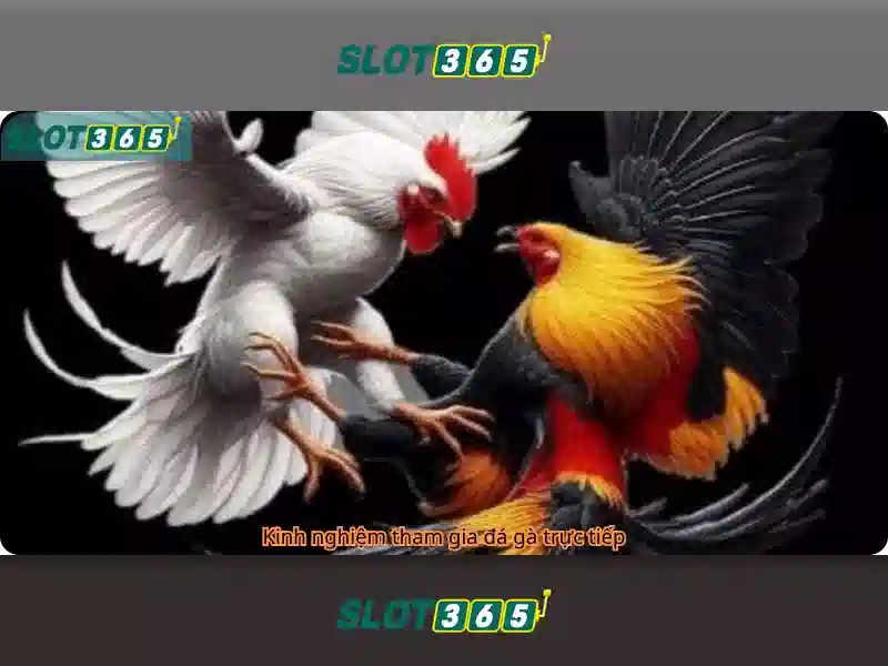 Slot365 - Nền tảng đánh bạc trực tuyến uy tín