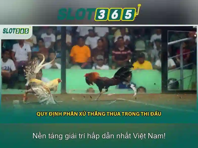 Khuyến mãi hấp dẫn và chương trình thưởng