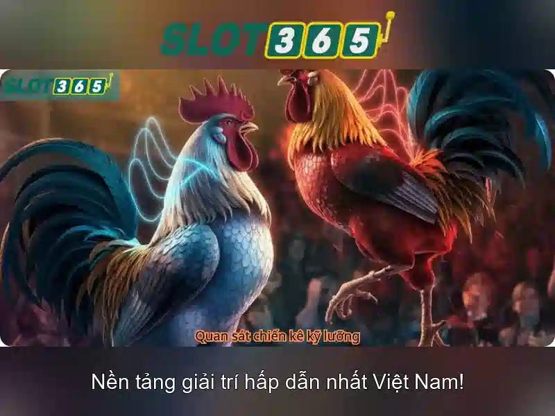 Slot365 – Trải nghiệm casino và slot trực tuyến hàng đầu