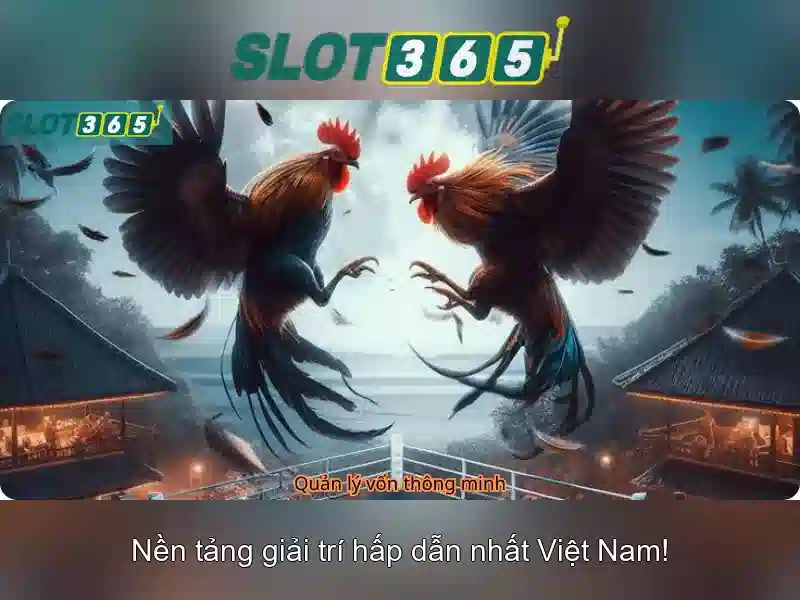 Slot365 là gì?