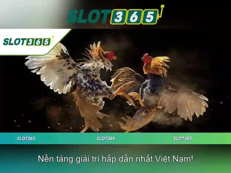 Slot365 là gì?
