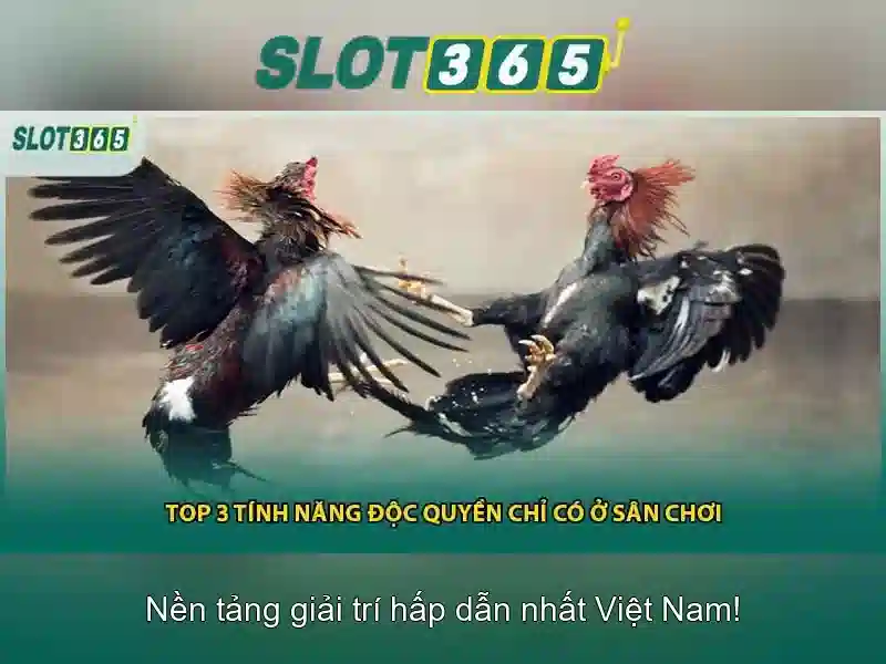 Slot365: Nền tảng trò chơi xèng trực tuyến uy tín