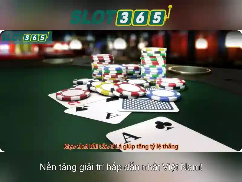Giao diện và trải nghiệm người dùng