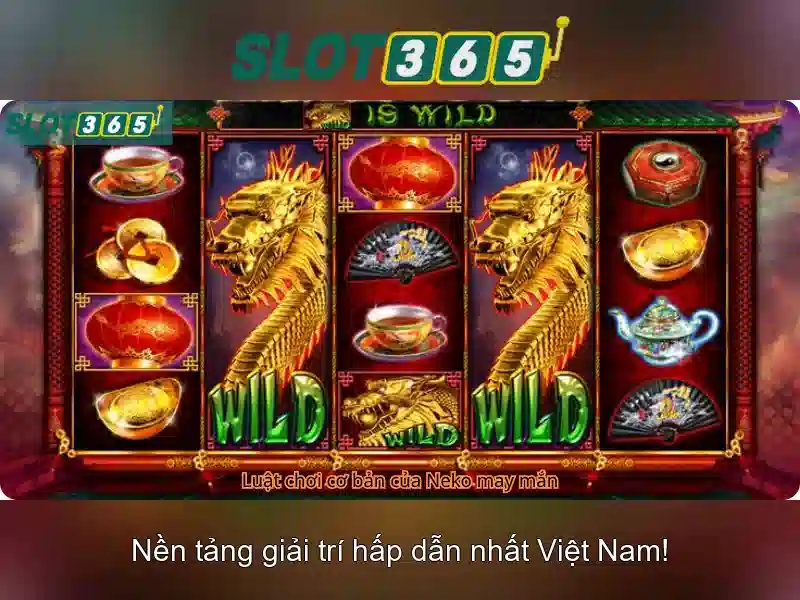 Hỗ trợ và kết nối