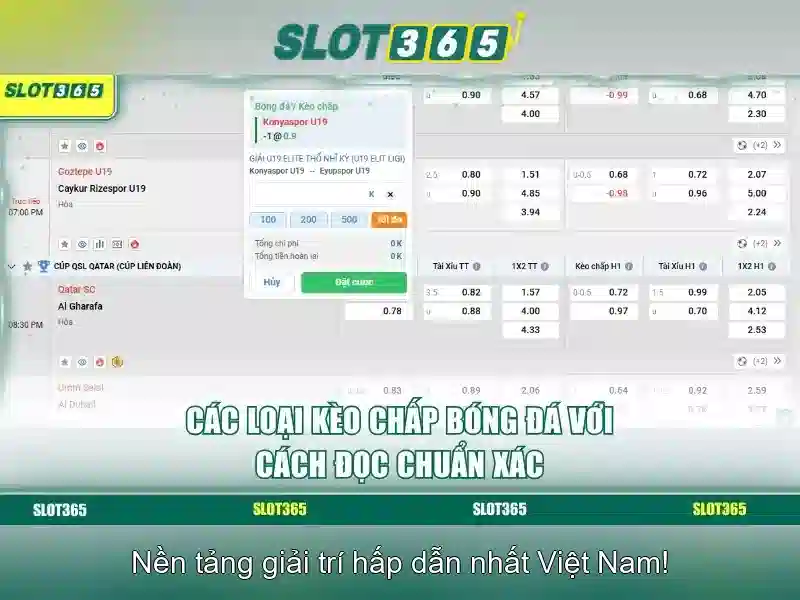 Hỗ trợ khách hàng và dịch vụ