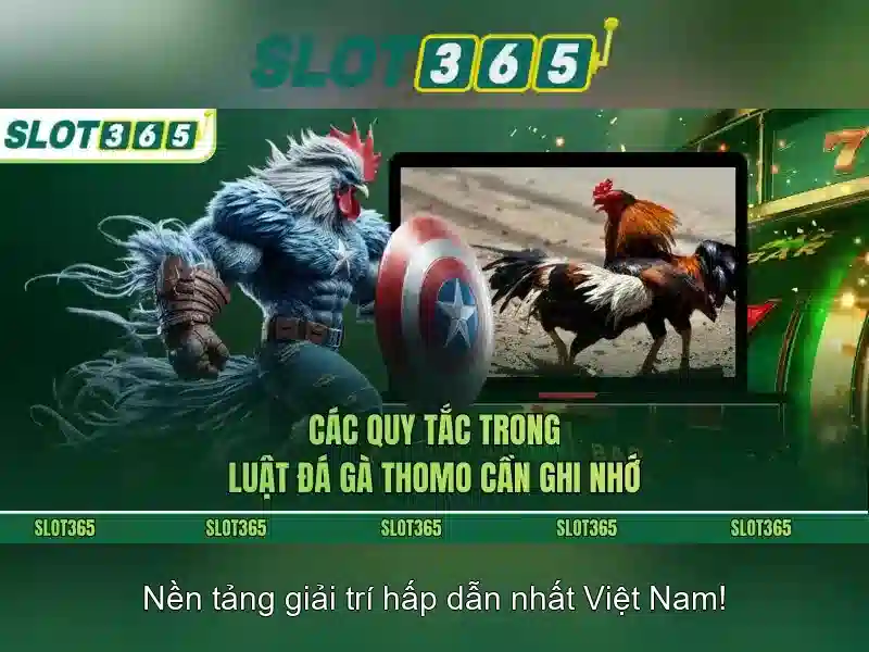 Khuyến mãi và thanh toán an toàn