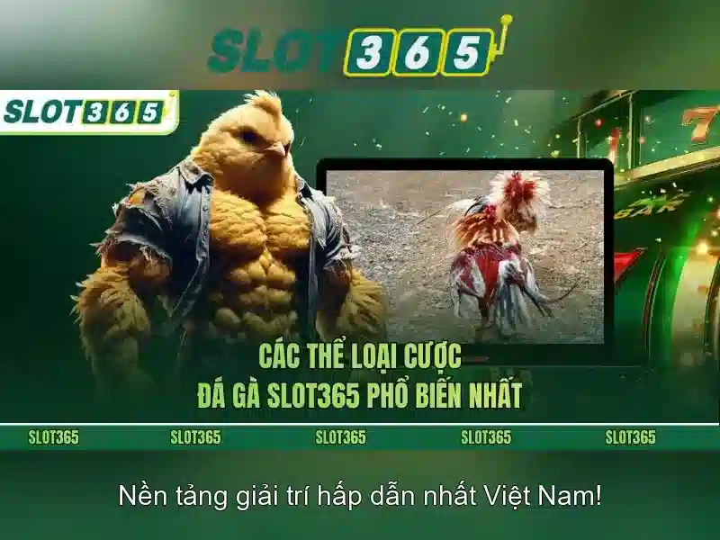 Slot365: Đánh giá nền tảng đánh bạc trực tuyến uy tín