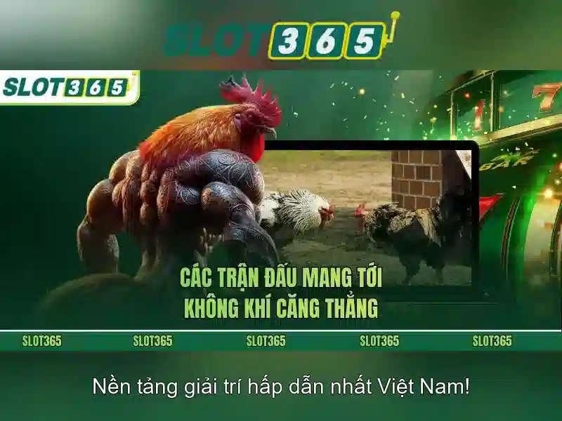 Slot365 - Sòng bài trực tuyến hàng đầu