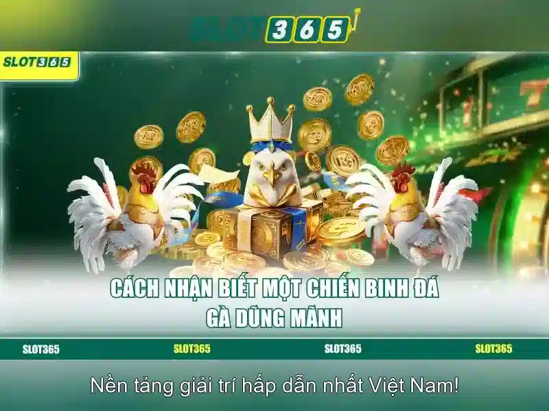 Slot365 – Nền tảng máy slot trực tuyến hàng đầu