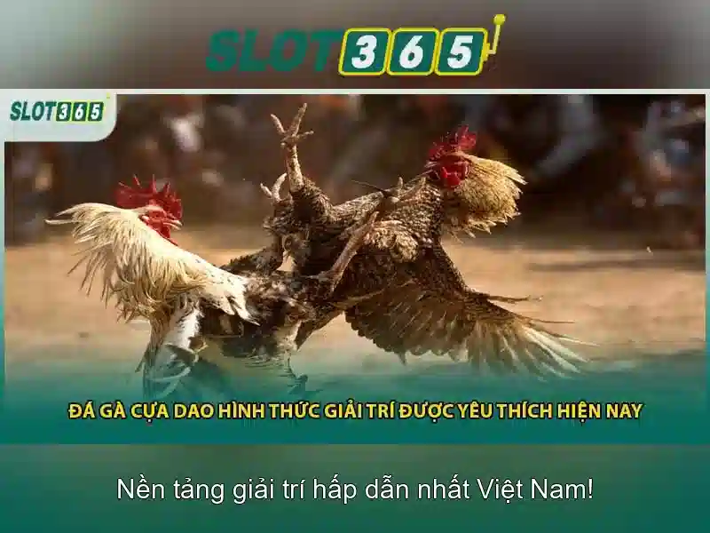 Các trò chơi và nhà cung cấp