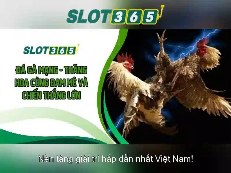 Slot365: Trải nghiệm casino trực tuyến đỉnh cao