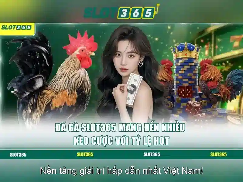 Slot365 là gì? - Trải nghiệm slot trực tuyến tại Việt Nam