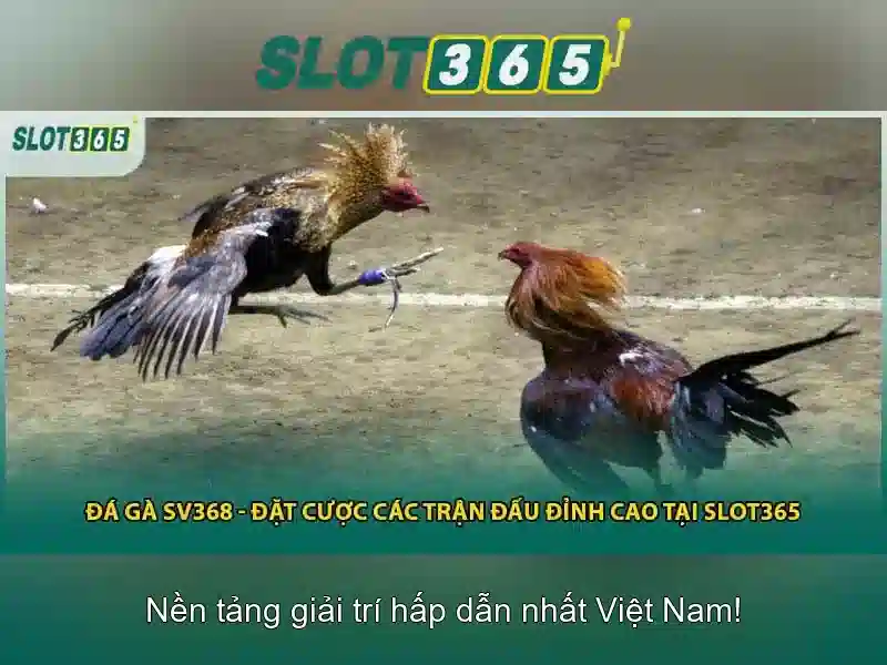 Tính năng bảo mật và thanh toán